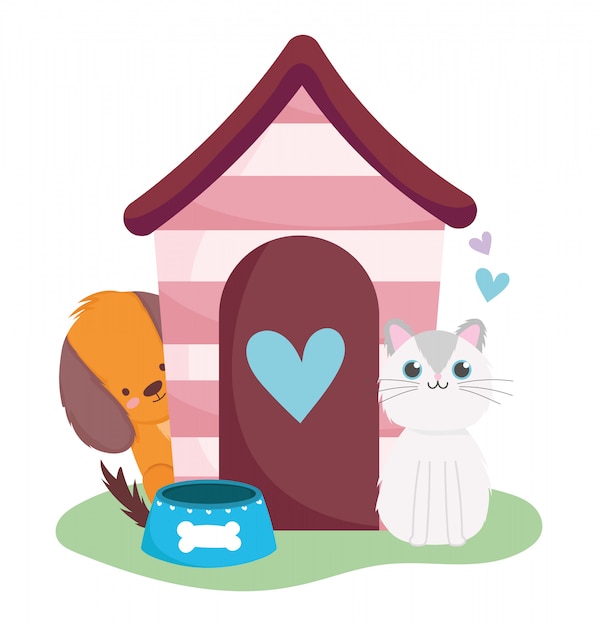 Animalerie Mignon Chien Et Chat Avec Dessin Anime Domestique Animal Maison Et Bol Vecteur Premium