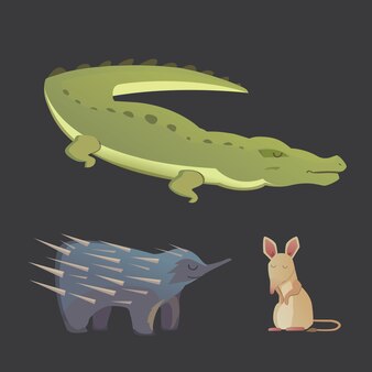 Les animaux australiens vecteur crocodile, échidné et opossum isolés