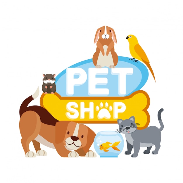 Les animaux de compagnie et les animaux vétérinaires