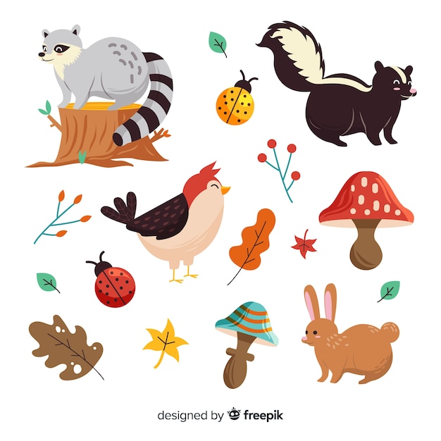 Animaux de la forêt d'automne dessinés à la main