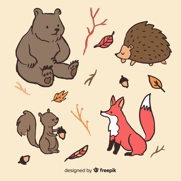 Animaux de la forêt automne dessinés à la main