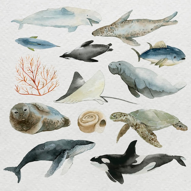 Vecteur gratuit animaux de la mer à l'aquarelle set vector