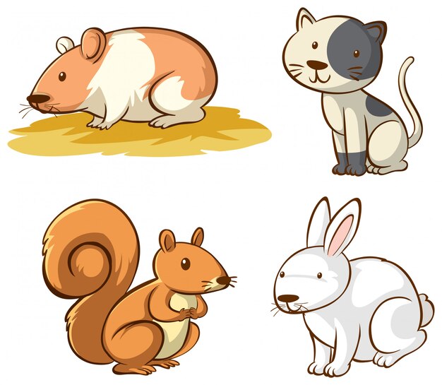 Animaux mignons isolés