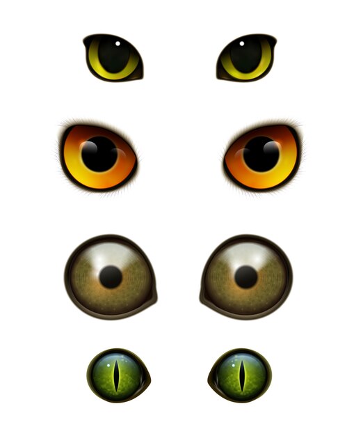Animaux monstres chats yeux réalistes