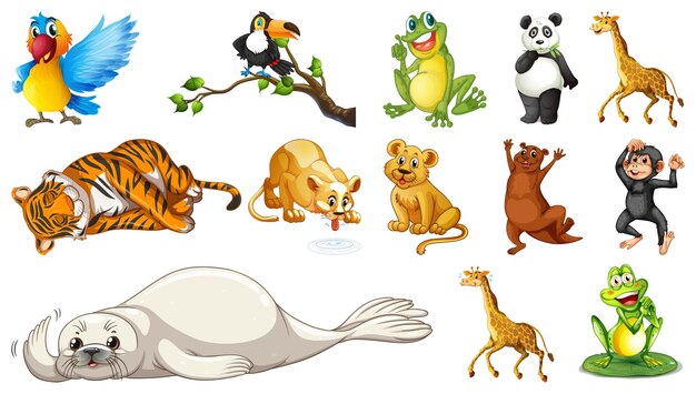 Animaux sauvages sur fond blanc