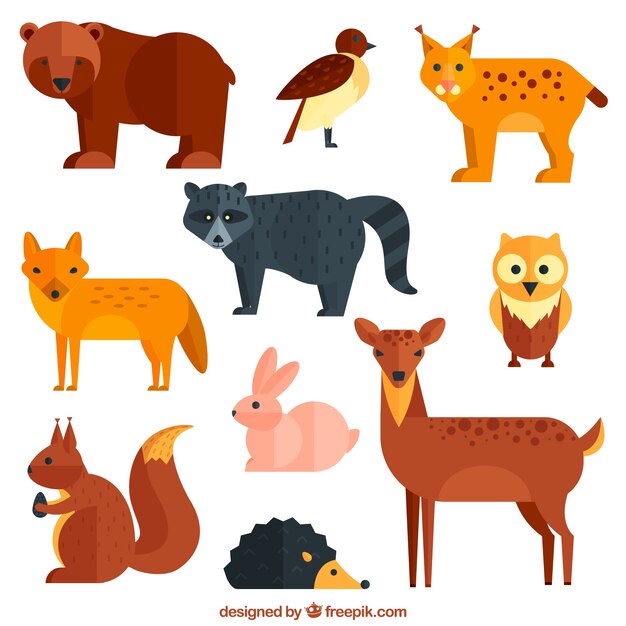 animaux sauvages géométriques