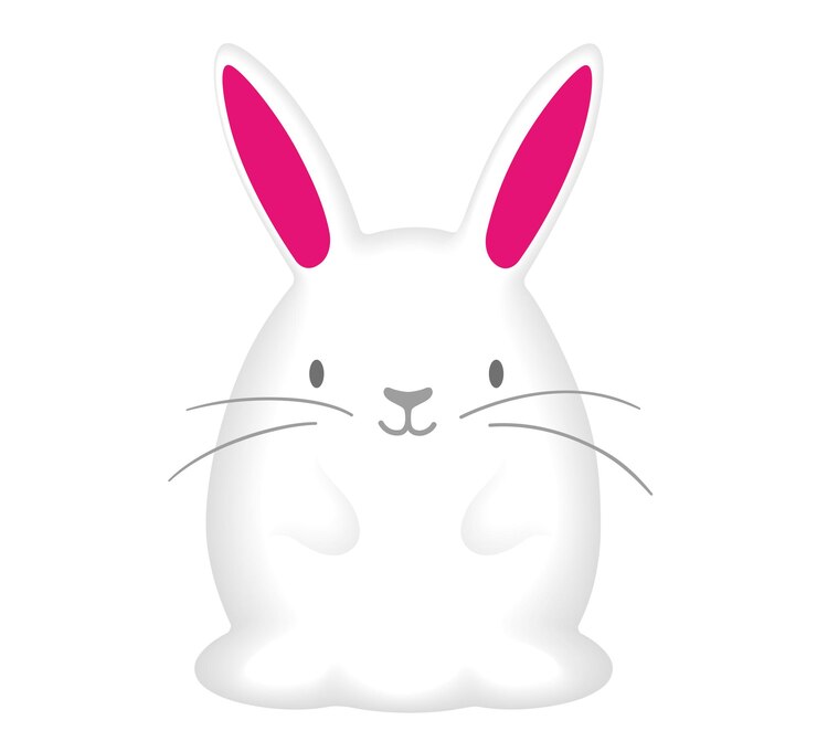 Année de la mascotte de vecteur de lapin isolé sur fond blanc