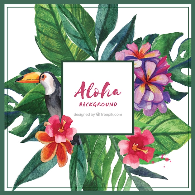 Aquarelle aloha background avec tucano