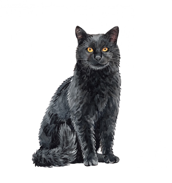 Aquarelle Chat Noir Assis Peinture Chat Aquarelle Vecteur Premium