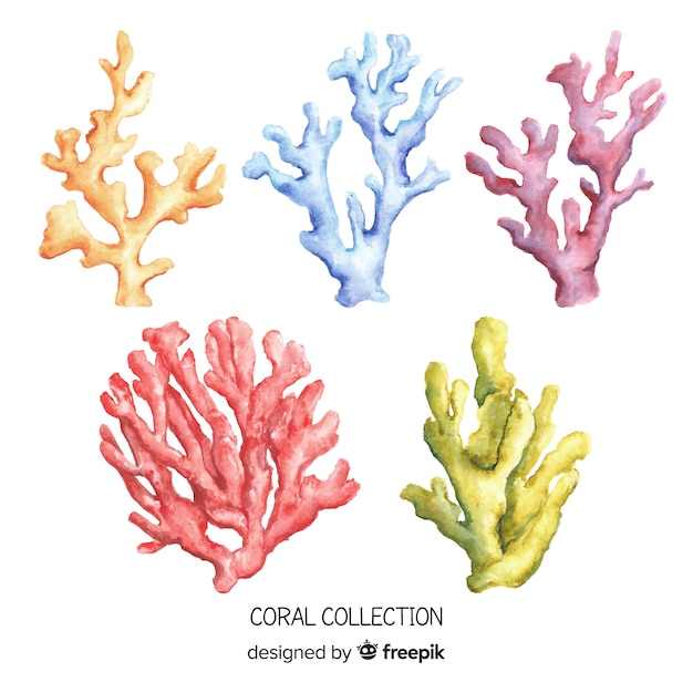 Aquarelle Collection de coraux