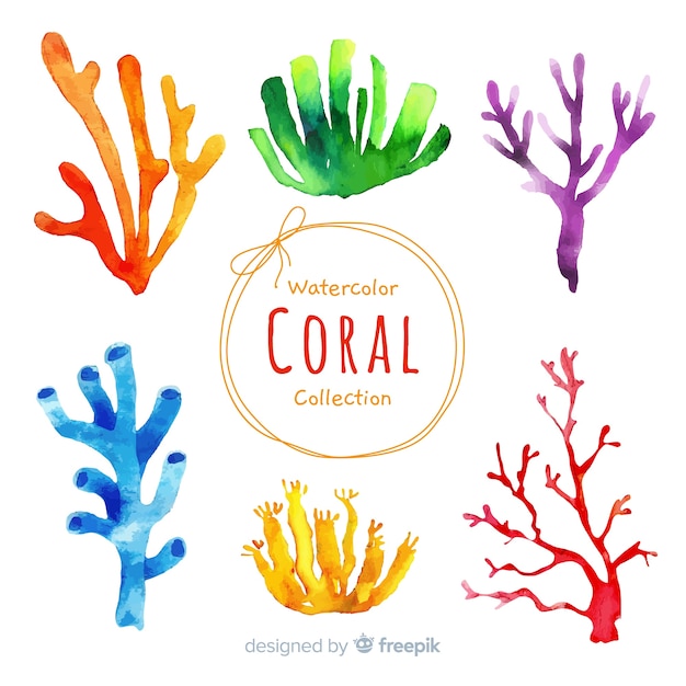 Vecteur gratuit aquarelle collection de coraux