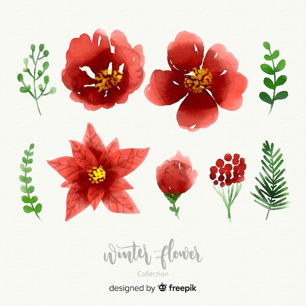 Aquarelle collection de fleurs d&#39;hiver