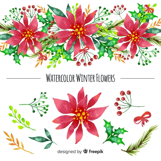 Vecteur gratuit aquarelle collection de fleurs d'hiver