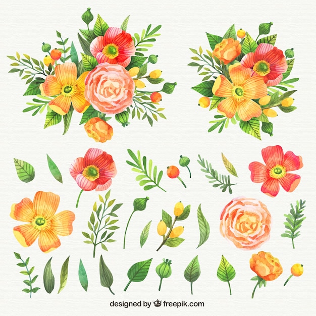 Aquarelle Collection De Jolies Fleurs