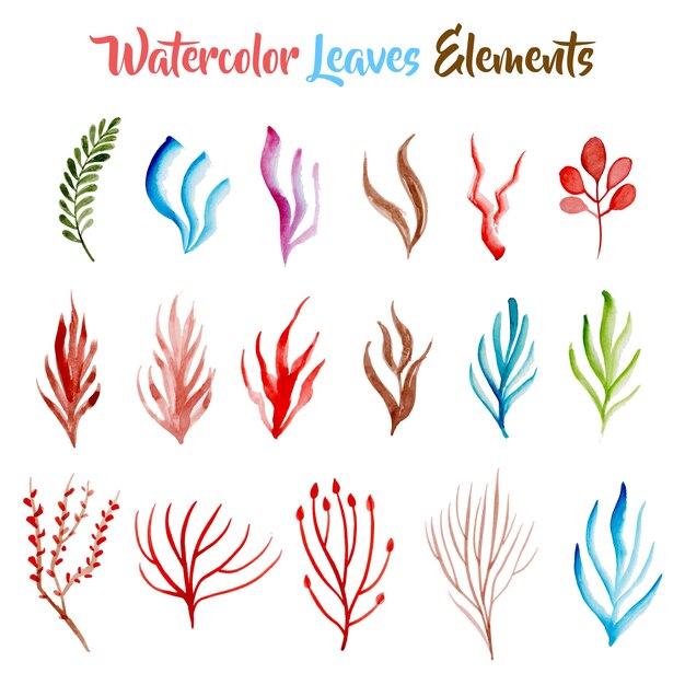 Aquarelle éléments de feuilles colorées