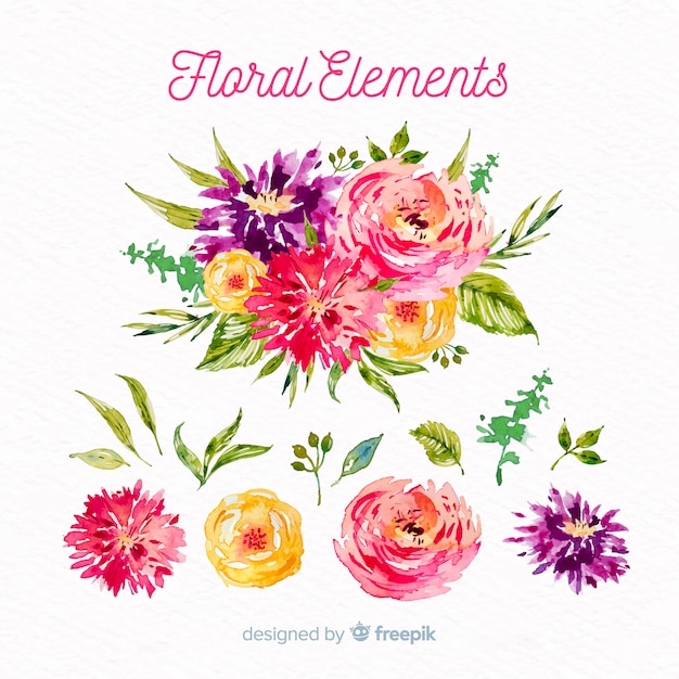 Aquarelle éléments Floraux