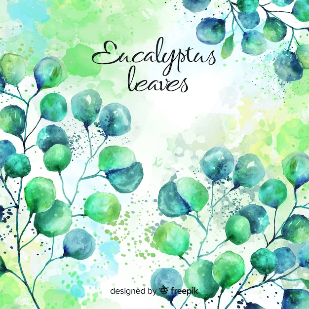 Aquarelle eucalyptus feuilles fond