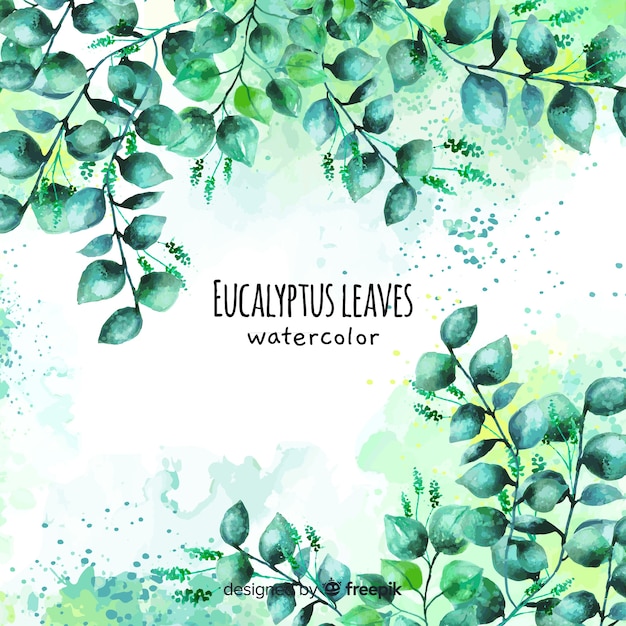 Vecteur gratuit aquarelle eucalyptus feuilles fond