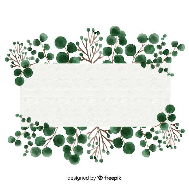 Aquarelle eucalyptus feuilles fond