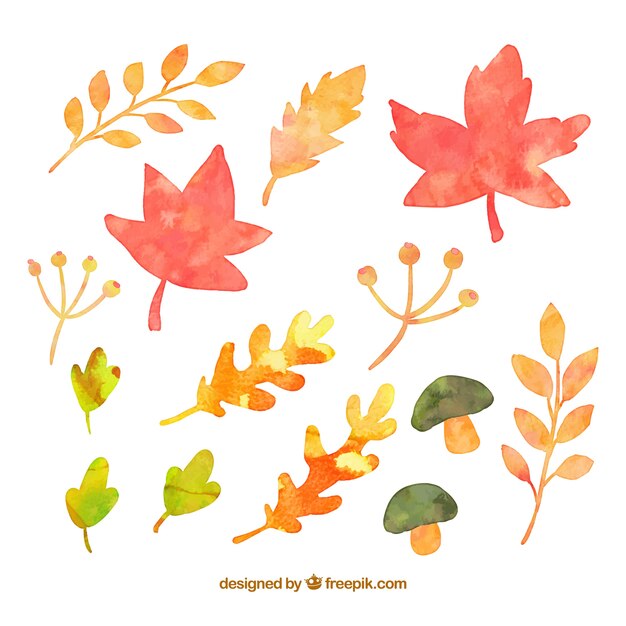 Aquarelle feuilles d&#39;automne