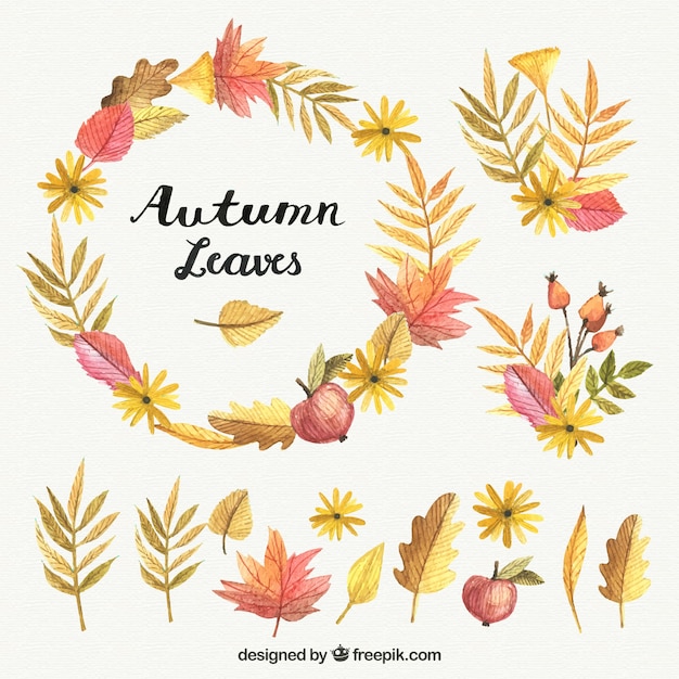 Aquarelle feuilles d&#39;automne