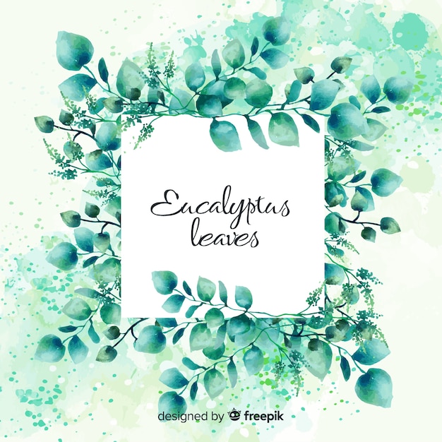 Aquarelle de feuilles d&#39;eucalyptus