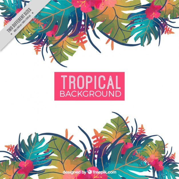 Vecteur gratuit aquarelle feuilles tropicales fond