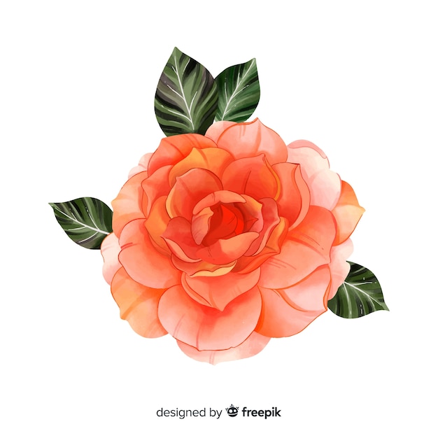 Aquarelle Fleur De Corail Peinte à La Main