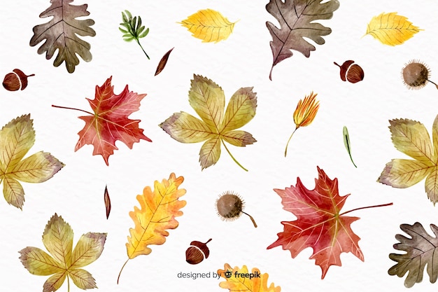 Aquarelle Fond D'automne Avec Des Feuilles