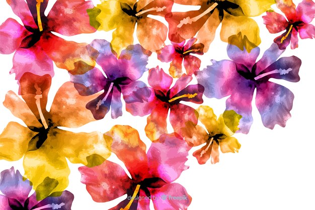 Aquarelle fond floral coloré exotique