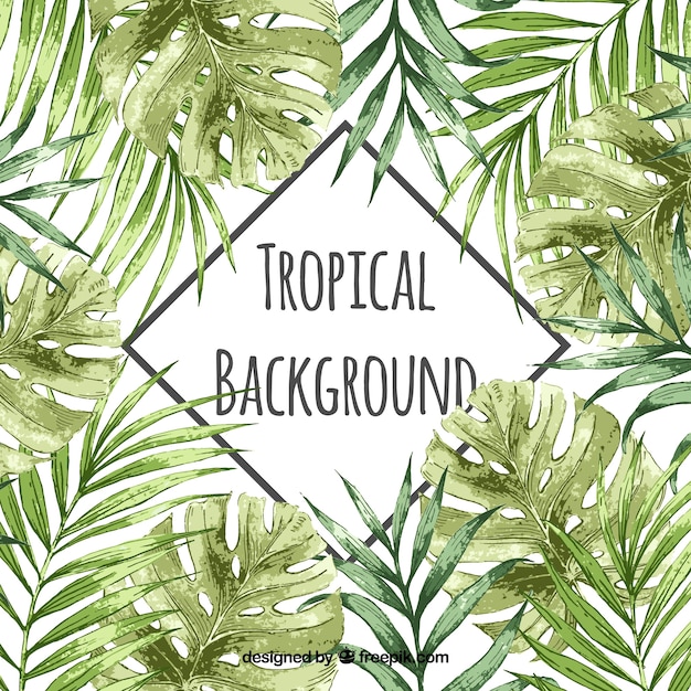 Aquarelle Fond Tropical Avec Style Vintage