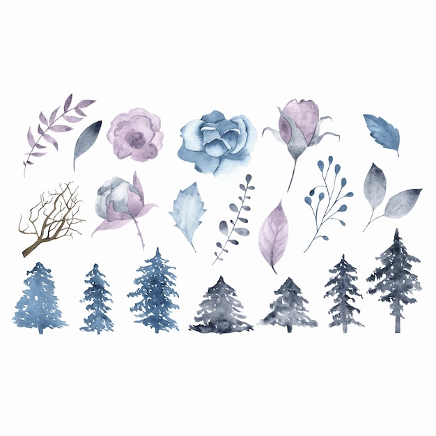 Aquarelle hiver fleurs brunch feuilles sapin isolé