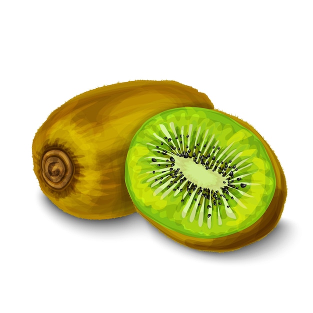 Vecteur gratuit aquarelle kiwi