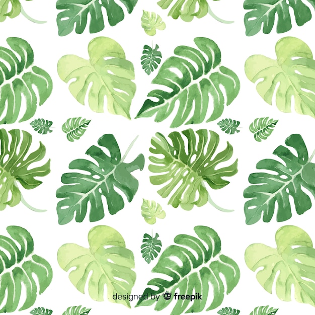 Aquarelle Monstera Feuilles Fond