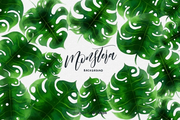 Aquarelle Monstera Feuilles Fond