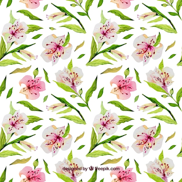 Vecteur gratuit aquarelle motif floral