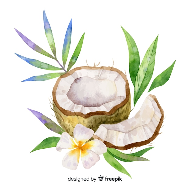 Aquarelle Noix De Coco Tropicale Avec Feuilles