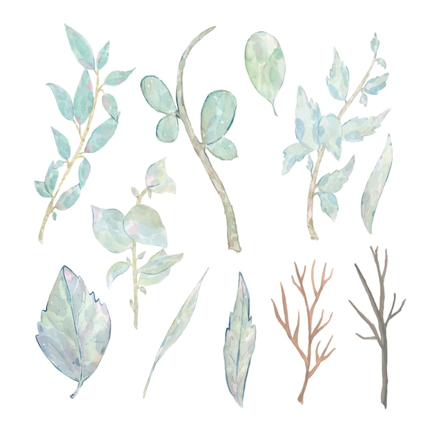 Vecteur gratuit aquarelle peinte branche de feuilles vertes isolé sur blanc