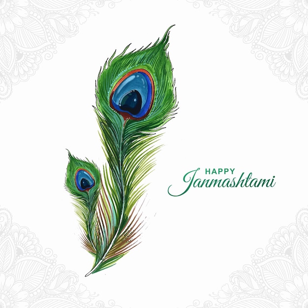 Vecteur gratuit aquarelle de plume de paon réaliste sur la conception de cartes happy janmashtami