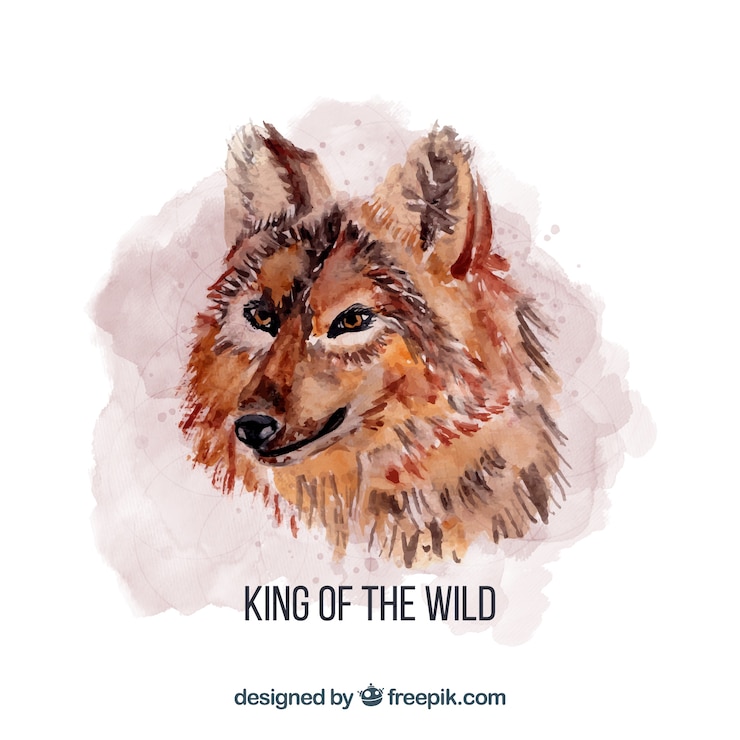 Vecteur gratuit aquarelle roi loup