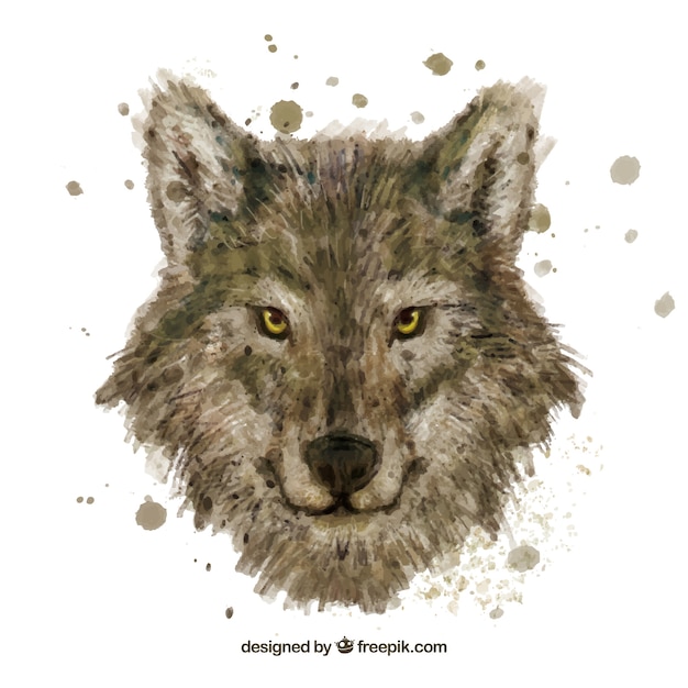 Aquarelle tête de loup