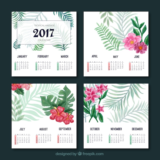 Aquarelle Tropical 2017 Calendrier