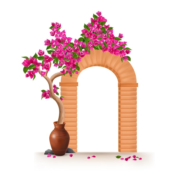 Vecteur gratuit arbre de bougainvilliers poussant dans un pot en argile encerclant l'objet réaliste de l'arc isolé à l'illustration vectorielle de fond blanc