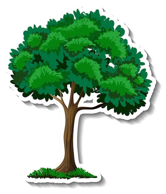 Vecteur gratuit un arbre avec des feuilles vertes autocollant sur fond blanc