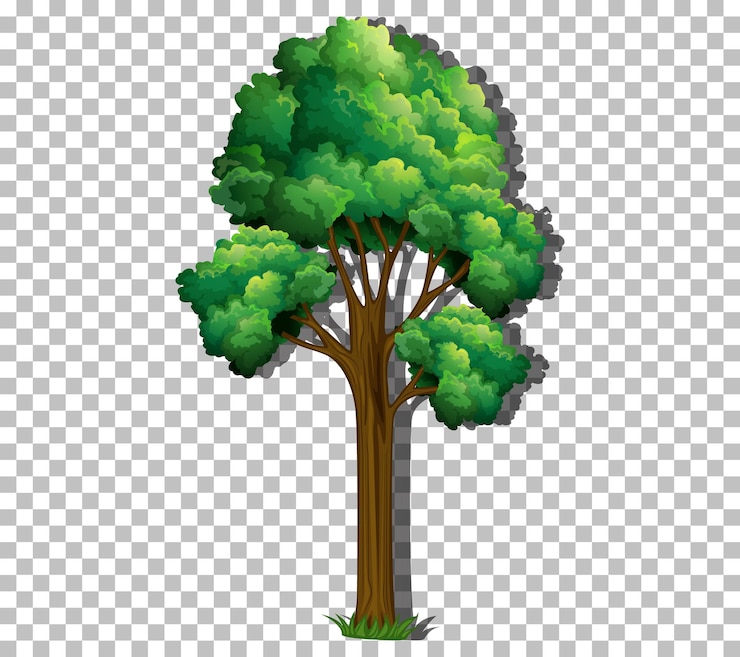 Vecteur gratuit un arbre avec des feuilles vertes sur un fond transparent