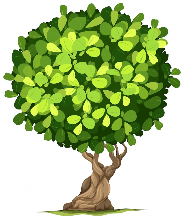 Vecteur gratuit un arbre isolé sur fond blanc