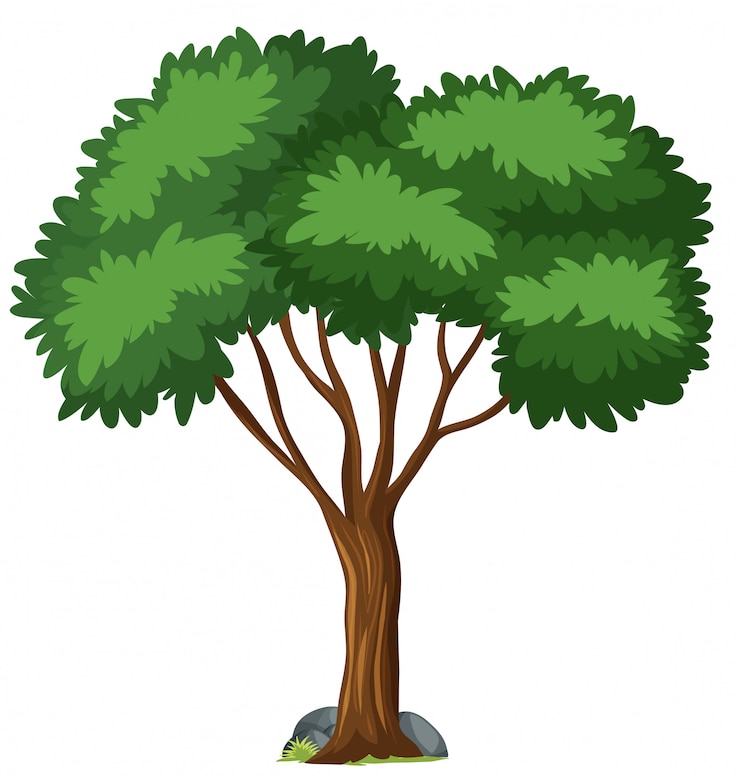 Vecteur gratuit arbre isolé