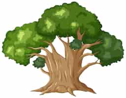 Vecteur gratuit arbre majestueux avec auvent vert luxuriant