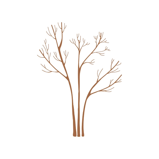 Arbre