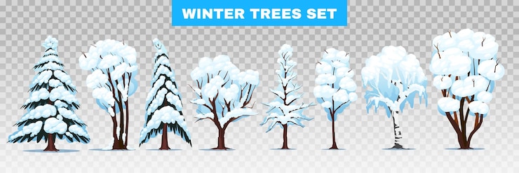 Vecteur gratuit arbres d'hiver d'espèces de feuillus et de conifères avec des branches couvertes de neige ensemble transparent illustration vectorielle